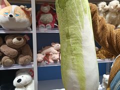-KKV(重庆光环购物公园店)