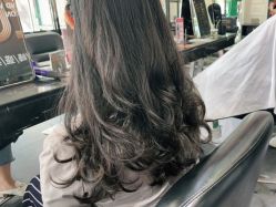 -风向标WIND VANE SALON