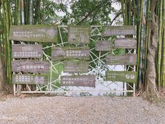 -老木棉·匠园