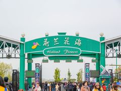 -荷兰花海