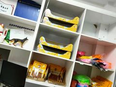 -宠福鑫康馨动物医院·骨科·眼科