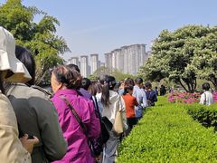 -洛阳市隋唐城遗址植物园