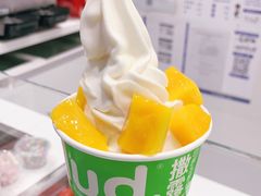 -Salud撒露欧洲冻酸奶(五道口购物中心店)