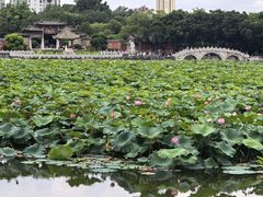 -建水文庙