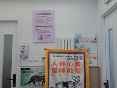 -瑞派·关忠动物医院·猫专科·犬专科(三环新城店)