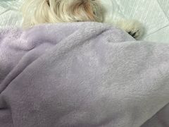 -达爱动物医院·犬猫分区·CT·复杂眼科(远洋山水分院)