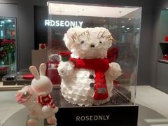 -ROSEONLY诺誓(国际广场购物中心店)