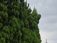 -上海市龙华烈士陵园