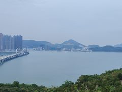 -黄家驹墓