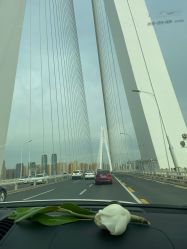 点击看大图 -Z.F私人订制