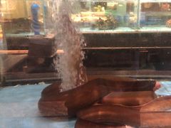 -阿伟海鲜楼·福建菜(延寿店)