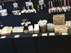 -瑞穗牧场