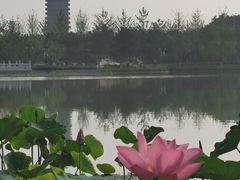 -西海子公园