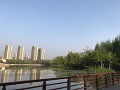 -青枫公园