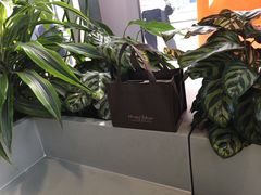 -布歌东京(万象天地店)