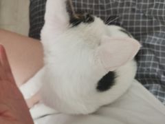 -宠颐生宠物医院·犬猫全科·皮肤科(商业街店)