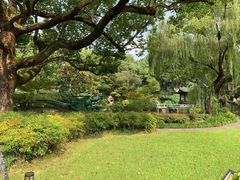 -申粤轩酒楼·三十年粤菜经典(丁香花园店)