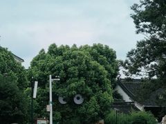 -中华孝德园
