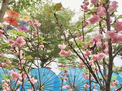 -珠海圆明新园