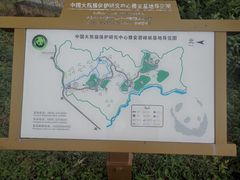 -中国大熊猫保护研究中心雅安碧峰峡基地
