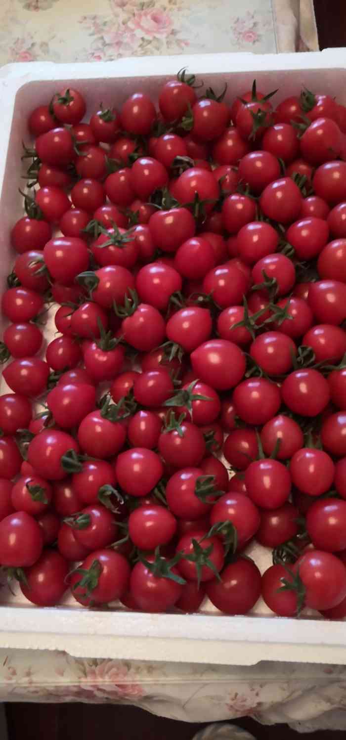 鲜达果仓-"反正什么都不想说老板也知道我是哪个,我只.