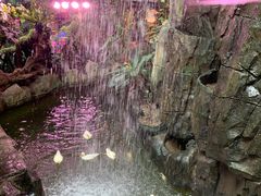 -正佳雨林生态植物园