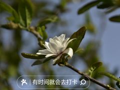 -国家植物园