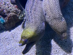 -大连老虎滩海洋公园