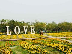 -广东花都香草世界旅游度假区