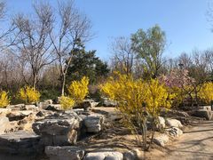 -大兴滨河森林公园