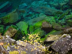 -叠溪松坪沟景区
