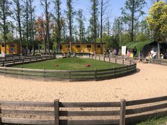 -前小桔亲子创意农场·草莓采摘·露营烧烤