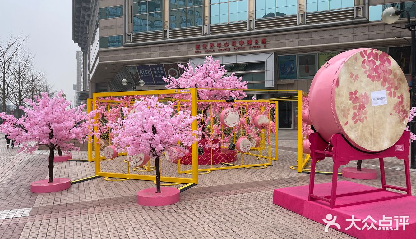 满树樱花朵朵开，花花世界的，出来逛街啊