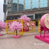 满树樱花朵朵开，花花世界的，出来逛街啊