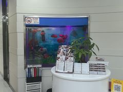 -雅悦齿科(顾村公园店)