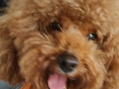 -益友堂盲人推拿正骨穴位按摩工作室