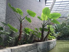 -龙达温泉生态城