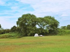 -渭河城市绿地运动公园