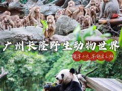 -广州长隆野生动物世界