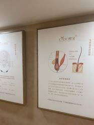 -熙朵美学植发·连锁品牌