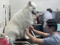 -达爱动物医院·犬猫分区·CT·复杂眼科(远洋山水分院)