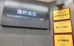 -藤野造型