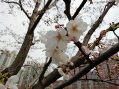 景点-静安雕塑公园