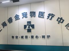 -睿金宠物医院·CT·肿瘤·骨外科