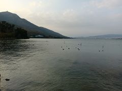 -西昌邛海湿地