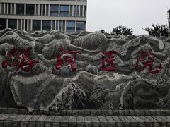 -首都医科大学附属北京潞河医院