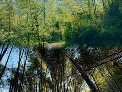 -浏阳石牛寨风景区