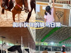 -名驭国际马术学院