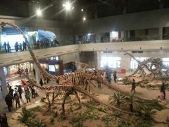 -自贡恐龙博物馆