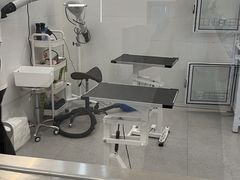 -comecome来吧宠物(奥克斯中心店)